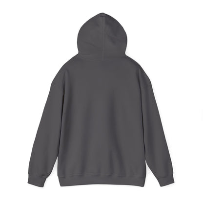 I Live Where You Vacation - Unisex Hooded Sweatshirt