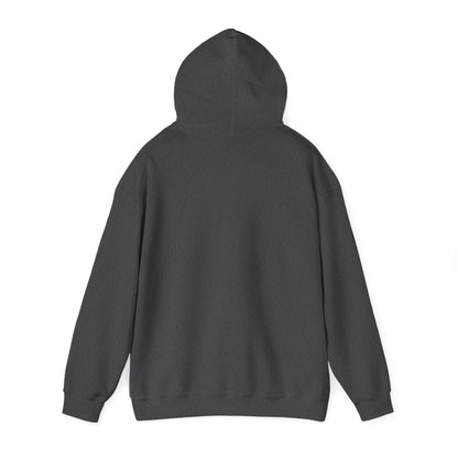 I Live Where You Vacation - Unisex Hooded Sweatshirt