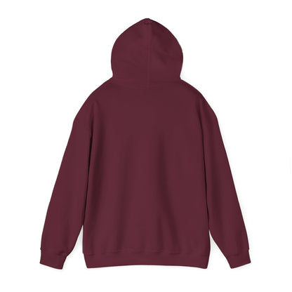 I Live Where You Vacation - Unisex Hooded Sweatshirt