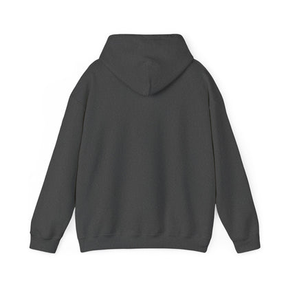 I Live Where You Vacation - Unisex Hooded Sweatshirt